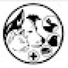 Hospital Veterinario Pet-Dog