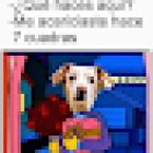 El Mundo De Las Mascotas