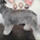 Clínica Veterinaria Animalia(sector privado)