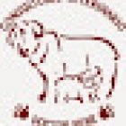 Consultorio Veterinario Dr. Bear