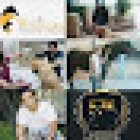 FerGon Clinica Veterinaria