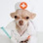 Clínica veterinaria PET lovers