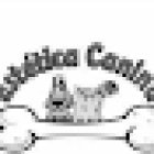 Servicios Veterinarios