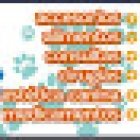 Clinica Veterinaria El Kan