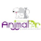 Animal Dr cuernavaca