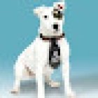 Veterinaria San José