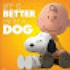 Ramses Veterinary Medical Clinic