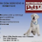 Veterinaria Pets Land