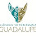Clinica Veterinaria Guadalupe