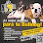 Centro Veterinario Animal Vet