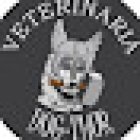 Veterinaria Dog-Thor