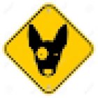 Pet Zone Veterinaria