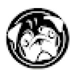 Veterinaria GRAYJO+Kotitas