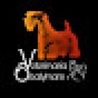 Veterinaria Sealyham