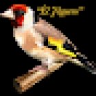 Clinica Veterinaria El Jilguero