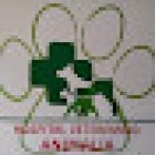 HOSPITAL VETERINARIO ANIMALIA