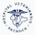 Hospital Veterinario Pachuca