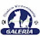 Gallery Veterinary Clinic