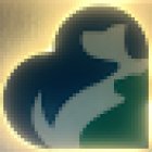 Clínica Veterinaria Bellavet