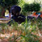 Clínica veterinaria Vegavet