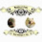 Medical Pets Dog Boutique & Spa