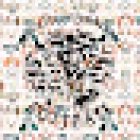 Servicio Veterinario Rottpast