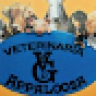 Veterinaria Appaloosa