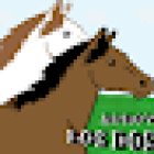 AgroVeterinaria Los Dos Potrillos