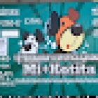 Veterinaria Mi+Kotita