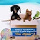 CLÍNICA VETERINARIA Y ESTETICA CANINA SAN MIGUEL