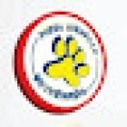 Perro Amarillo Veterinaria