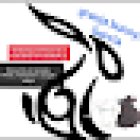 Conejos Granja bunnys García