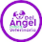 Del Ángel Clínica Veterinaria