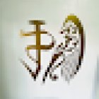 Clínica Veterinaria El Puma