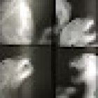 Clivet Buenavista Servicios Veterinarios