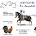 Agropecuaria la Jarochita