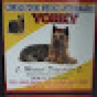 Consultorio Veterinario Yorky