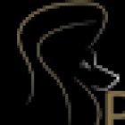 Baja Pet Veterinaria,Estética canina y accesorios