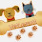 Veterinaria-VetLesant Goya