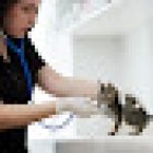 Veterinaria HVM, Suc. Santa Luz