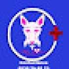 VETERINARIA ESTETICA CANINA canhome