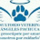 Consultorio Veterinario Ángeles Pachuca