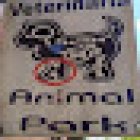 Animal Park Veterinary Clinic