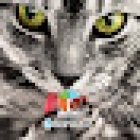 Veterinaria El Parotal