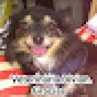 Farmacia y Estetica Vetetinario Bivian