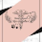 Clínica veterinaria 