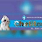 Hospital Veterinario Chatitos