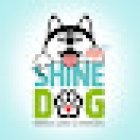 Shinedog
