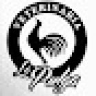 Veterinaria La Pulga