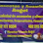 Mascotas y Acuario Angel